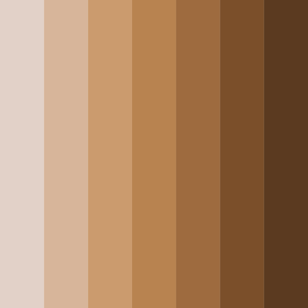Download rustic harmony color palette PNG image (square)
