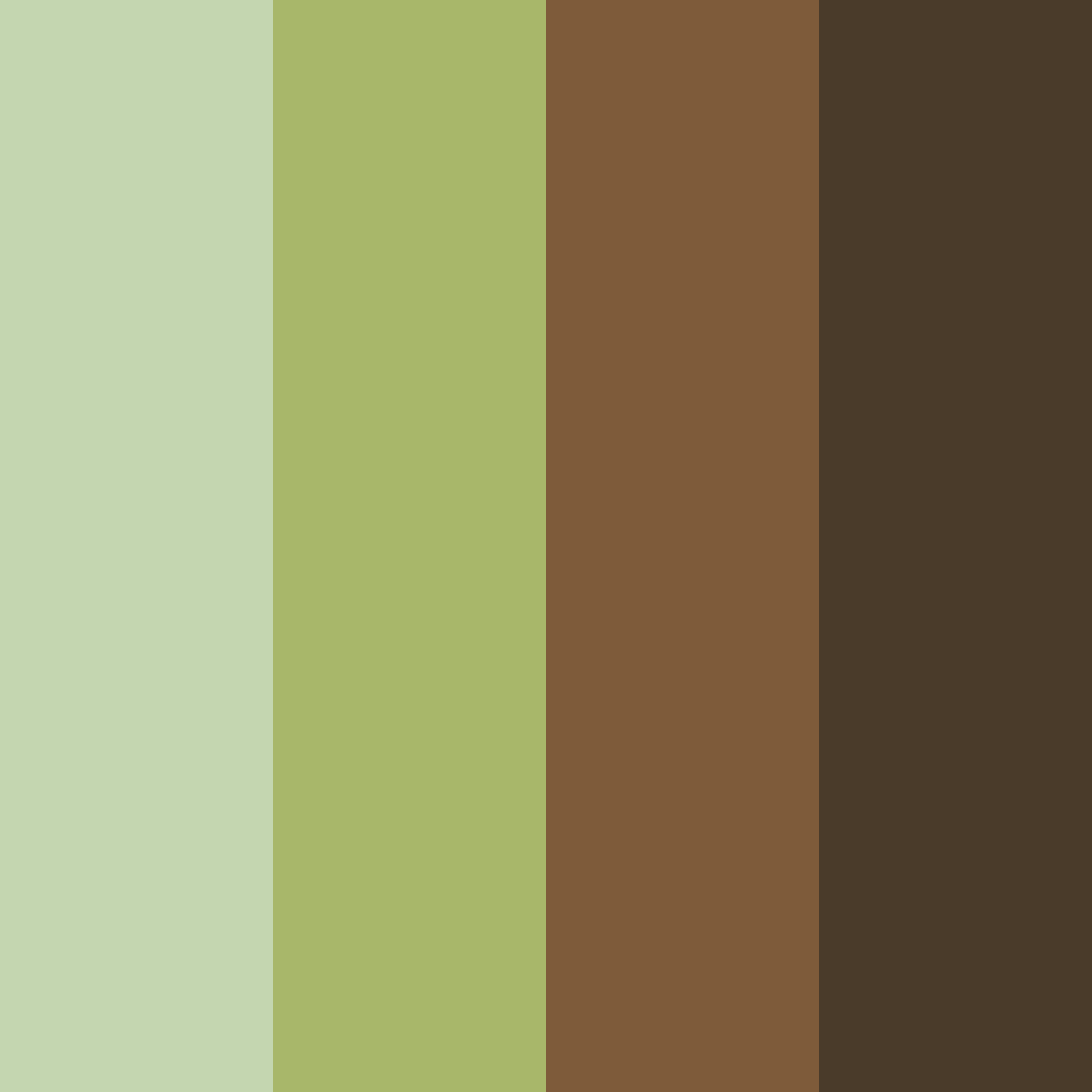 Download forest floor harmony color palette PNG image (square)