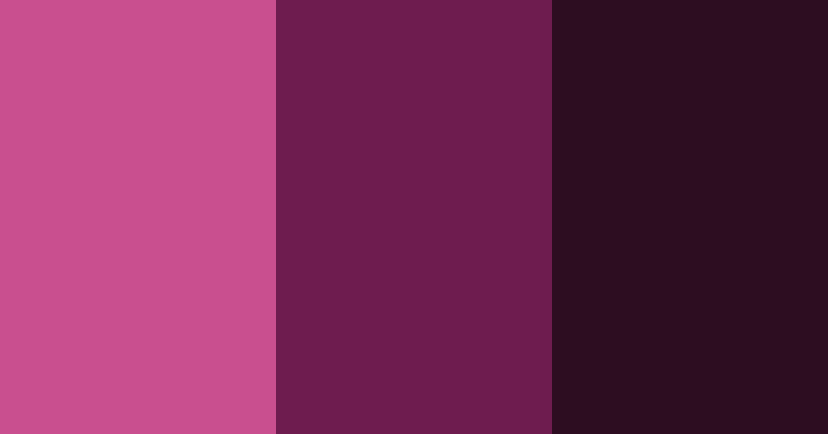 Download midnight prism color palette PNG image (landscape)