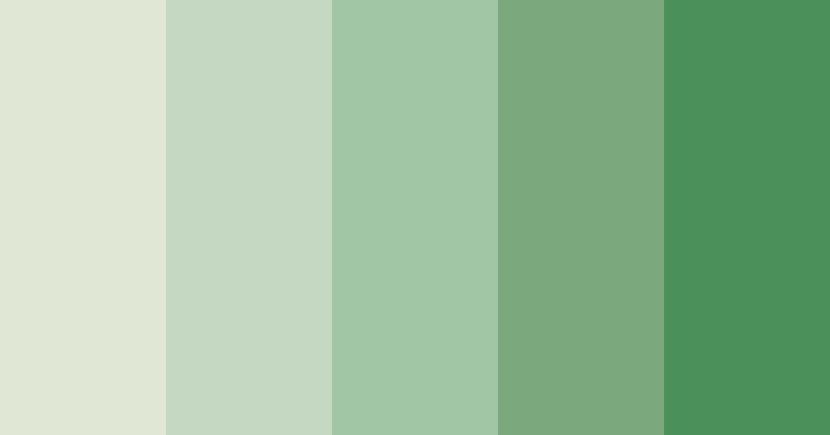 Download green tea color palette PNG image (landscape)