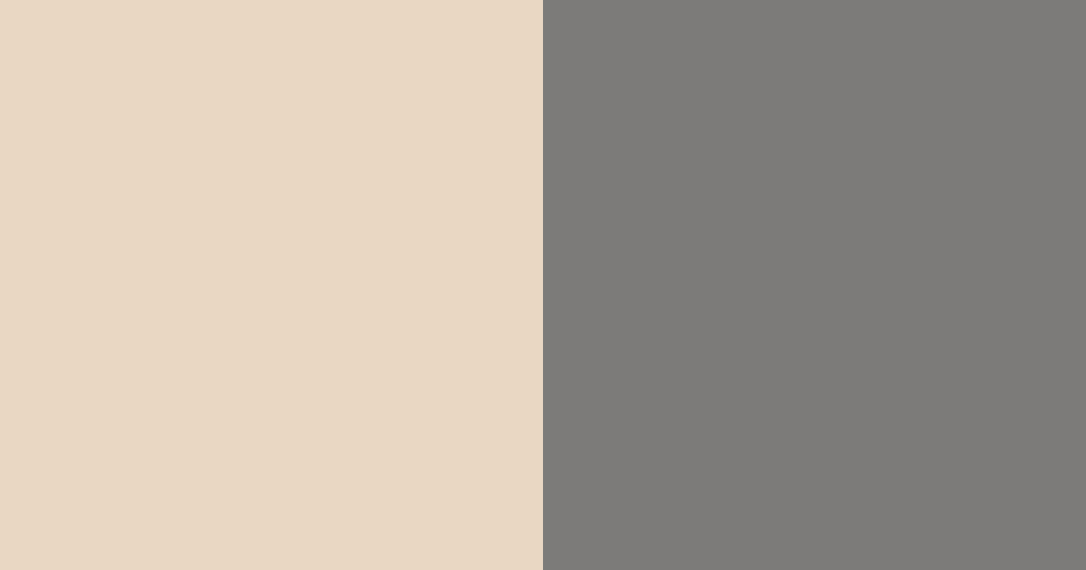 Download beige gray color palette PNG image (landscape)