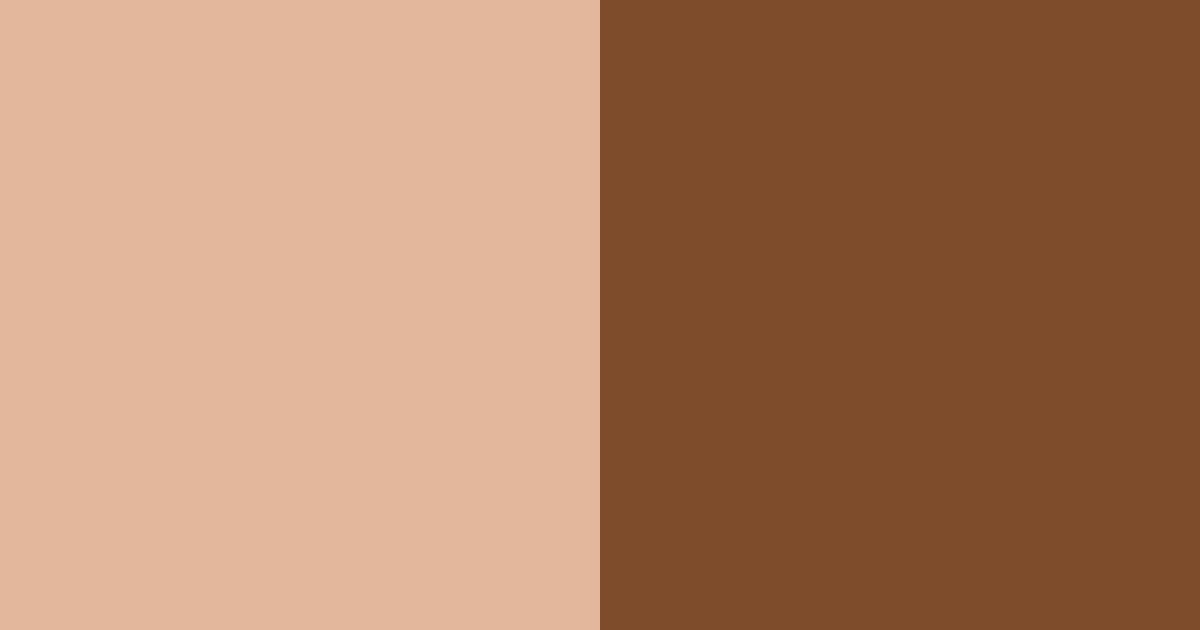 Download brown shades color palette PNG image (landscape)