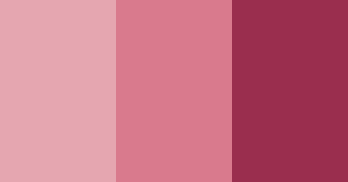 Download blushing rosewood color palette PNG image (landscape)