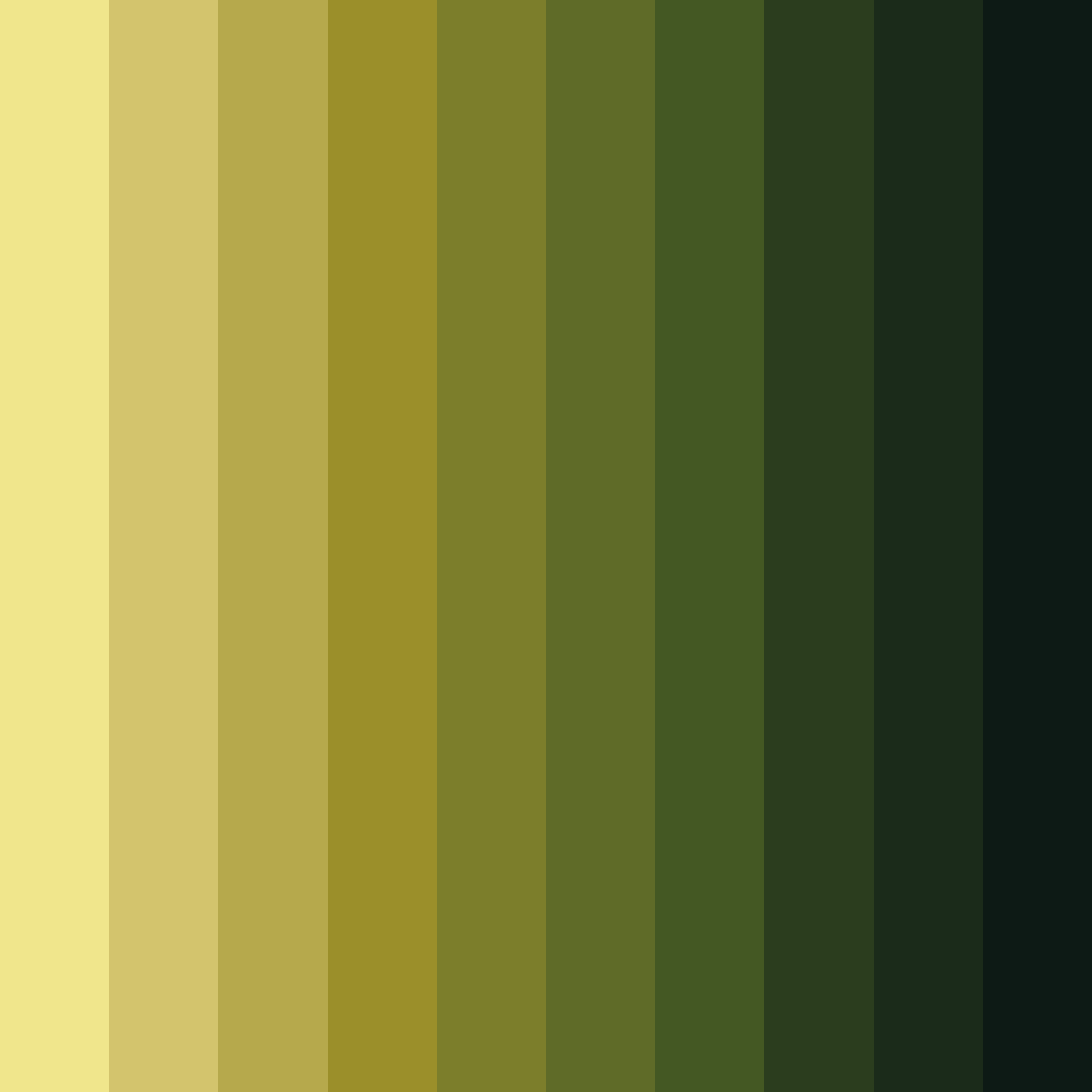 Download sunlit forest shadows color palette PNG image (square)