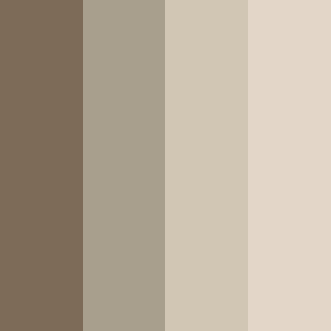Download taupe solar color palette PNG image (square)