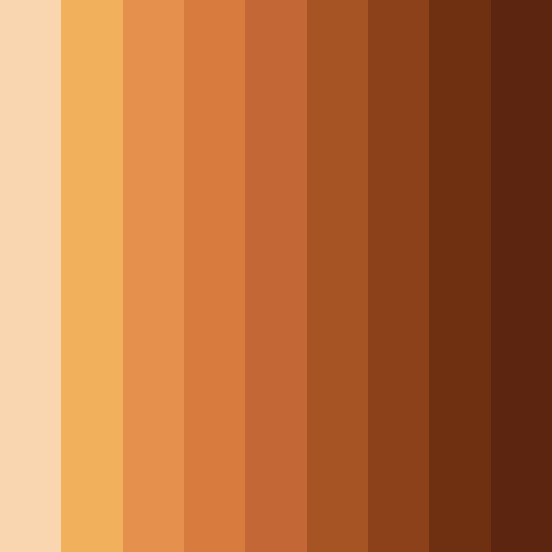 Download warm orange color palette PNG image (square)