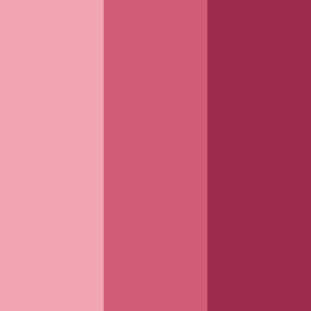 Download raspberry shades color palette PNG image (square)
