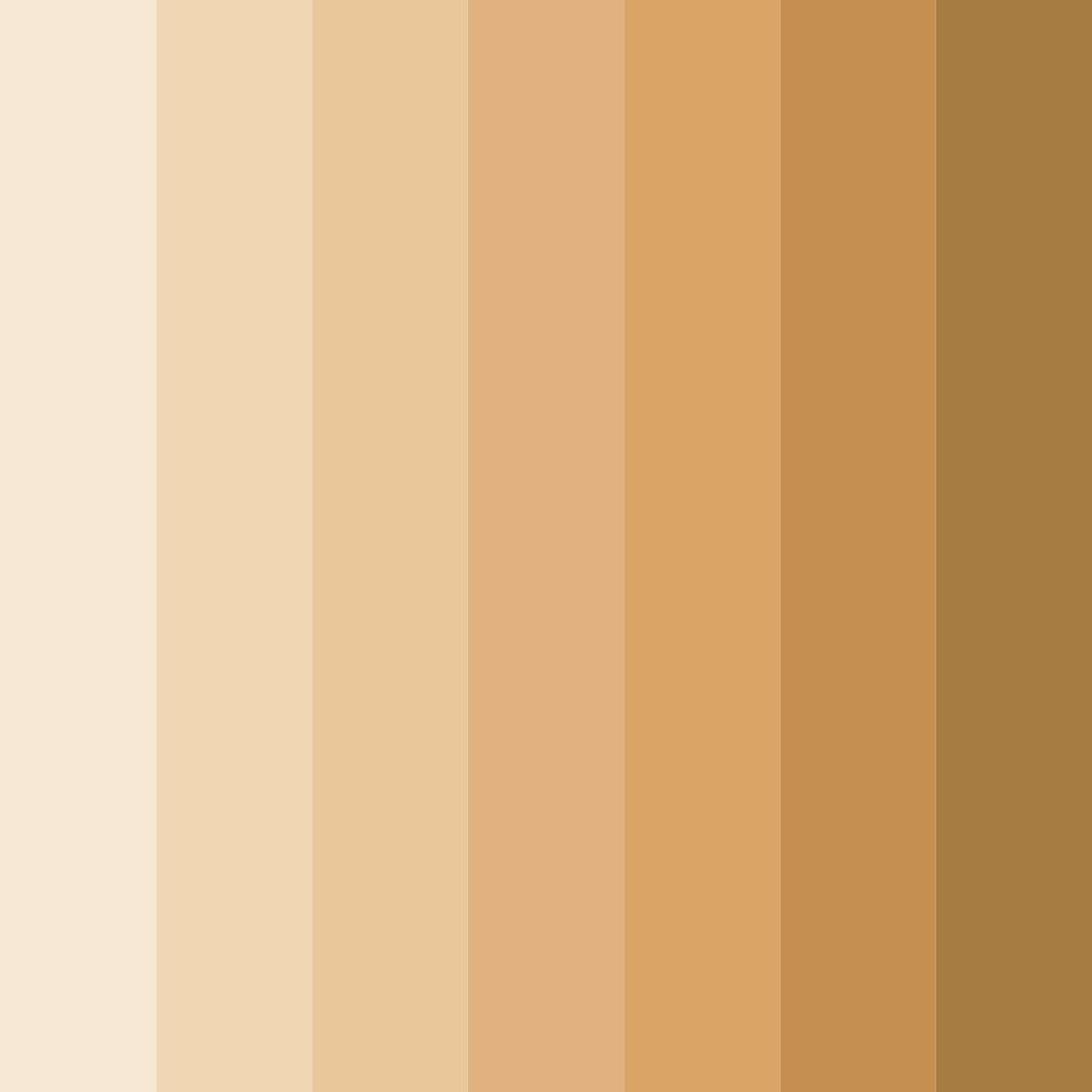 Download light beige color palette PNG image (square)