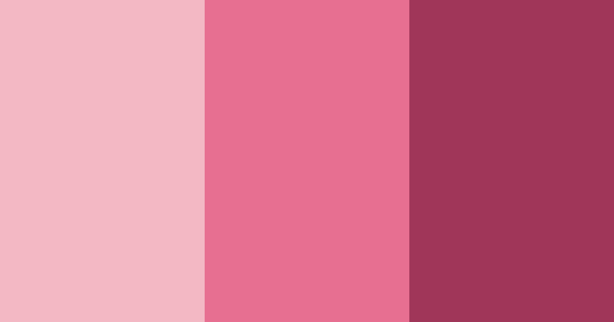 Download twisted pink color palette PNG image (landscape)