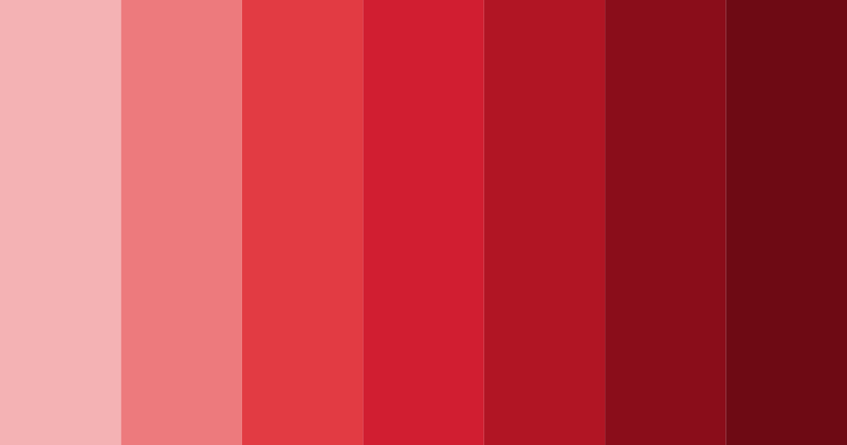 Download red shades color palette PNG image (landscape)