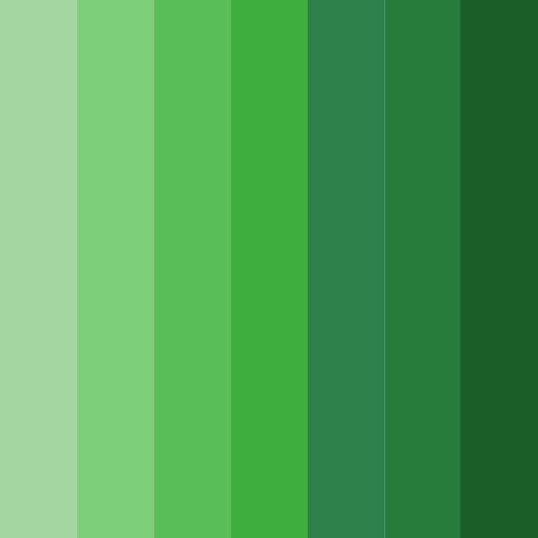 Download emerald grove color palette PNG image (square)