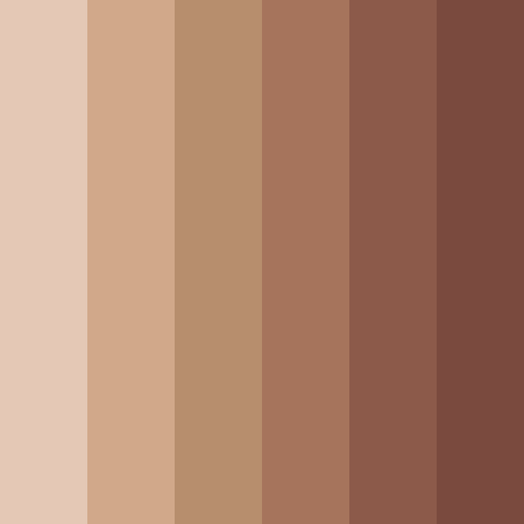 Download shades of brown color palette PNG image (square)