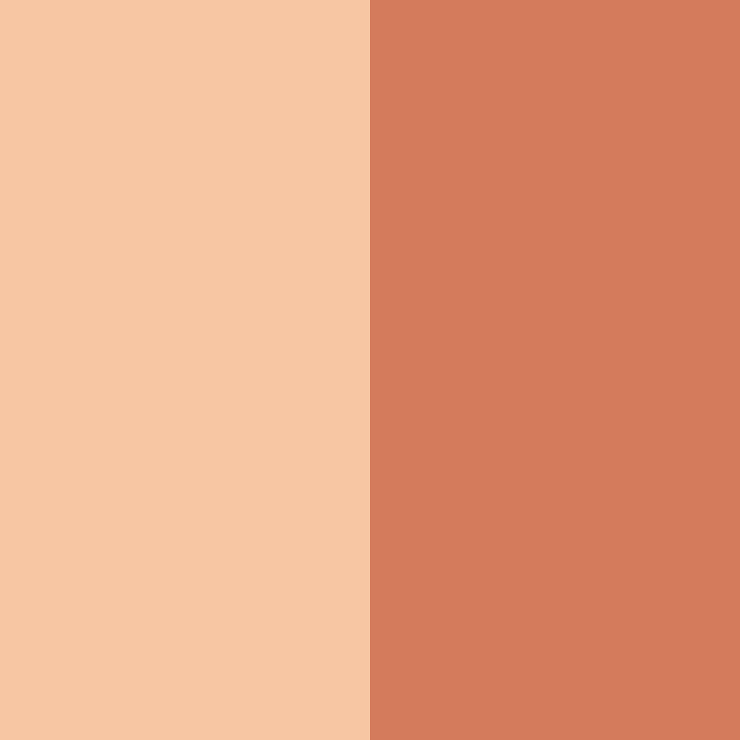 Download peachy coral color palette PNG image (square)