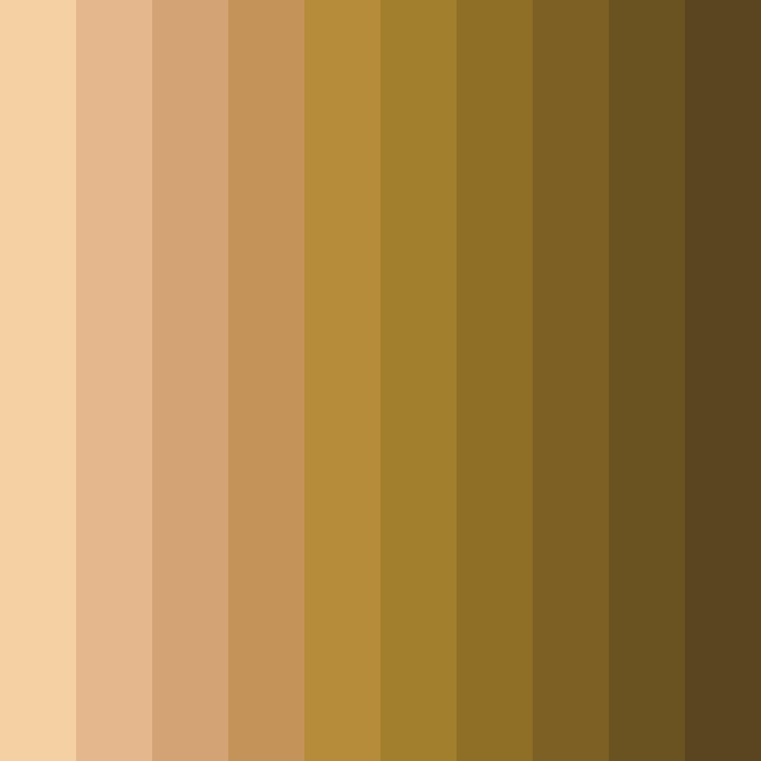 Download sunlit harvest color palette PNG image (square)