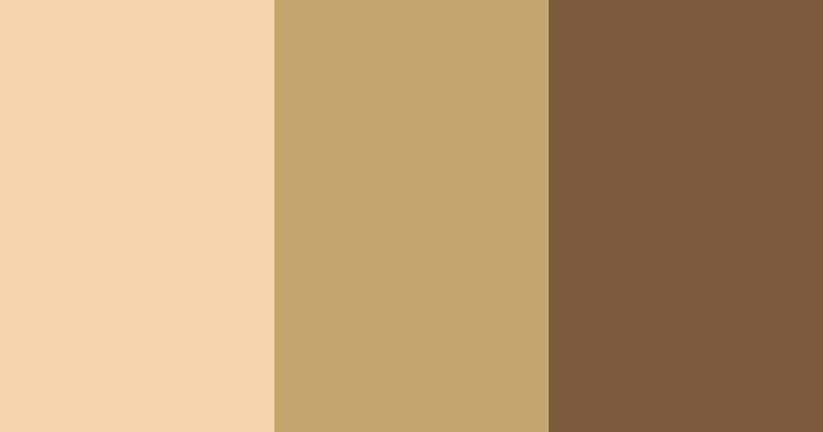 Download earthy brown color palette PNG image (landscape)