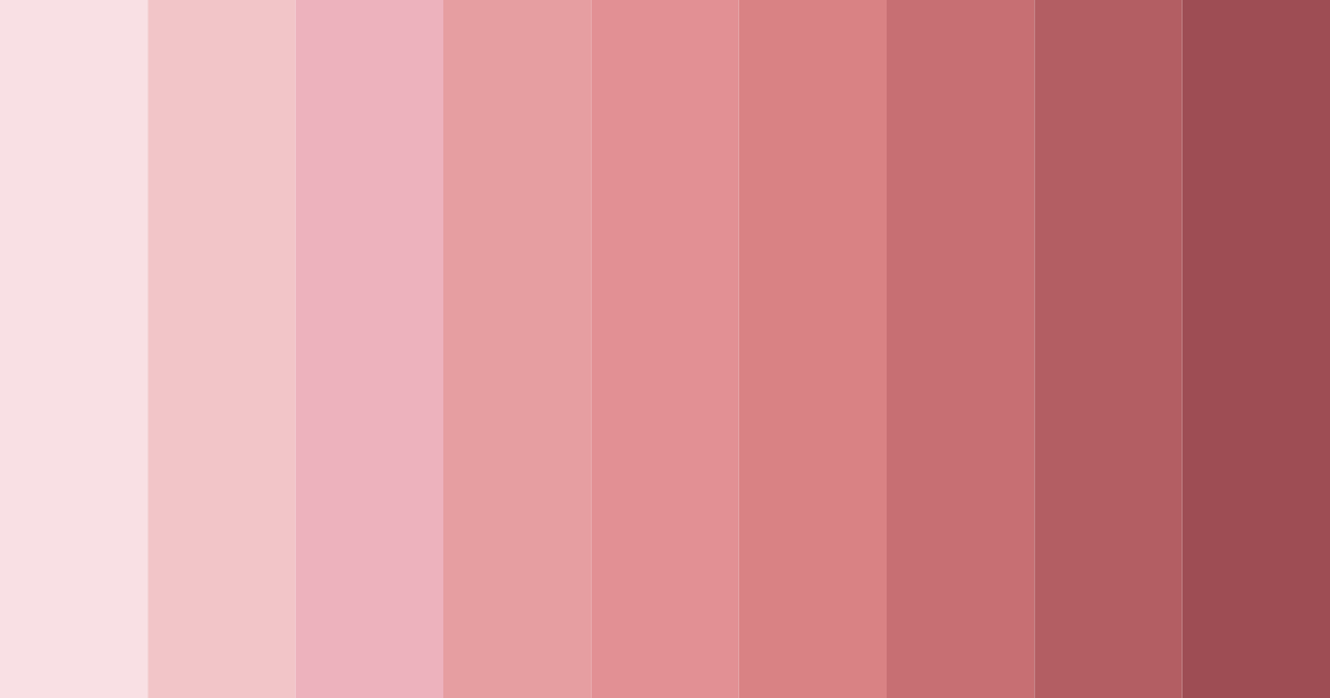 Download shades of pink color palette PNG image (landscape)