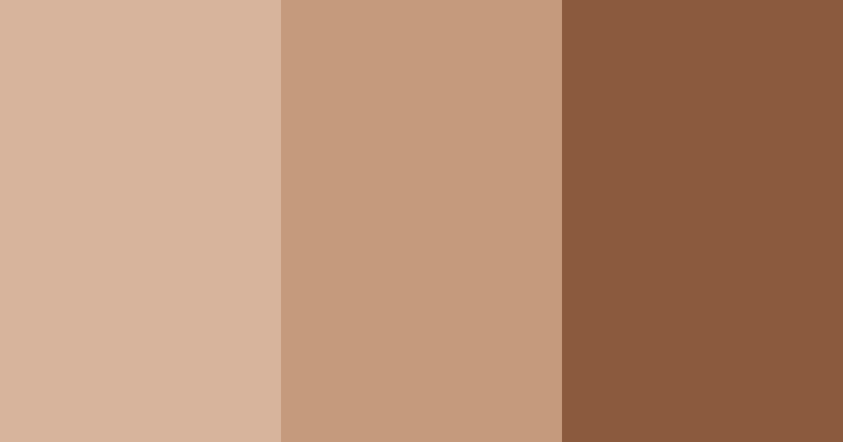 Download light brown tones color palette PNG image (landscape)