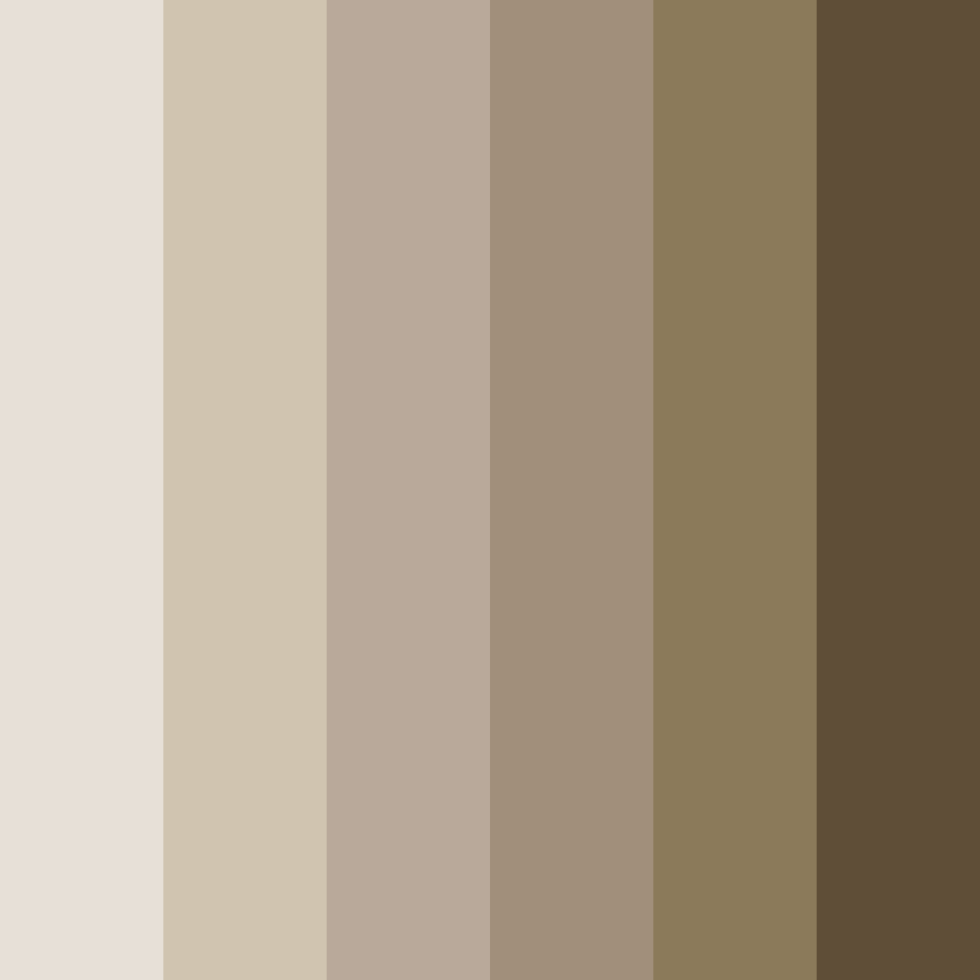 Download earthy elegance color palette PNG image (square)