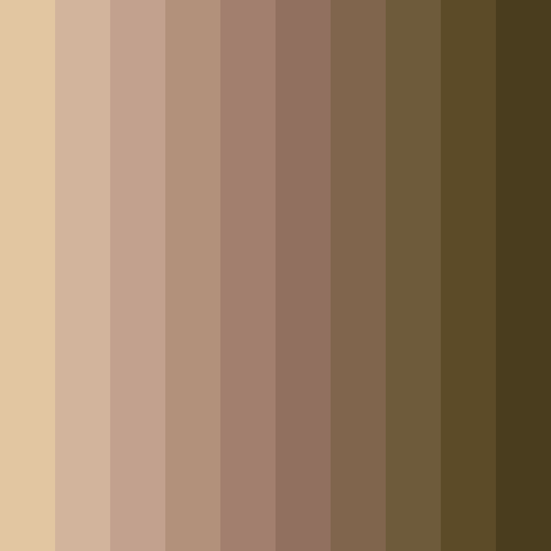 Download brown earth color palette PNG image (square)