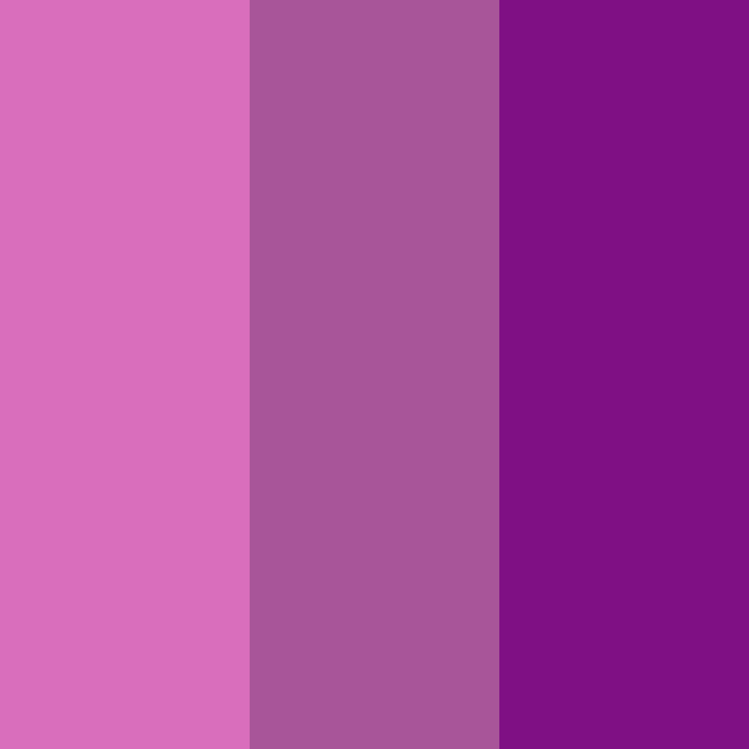 Download raspberry dreams color palette PNG image (square)