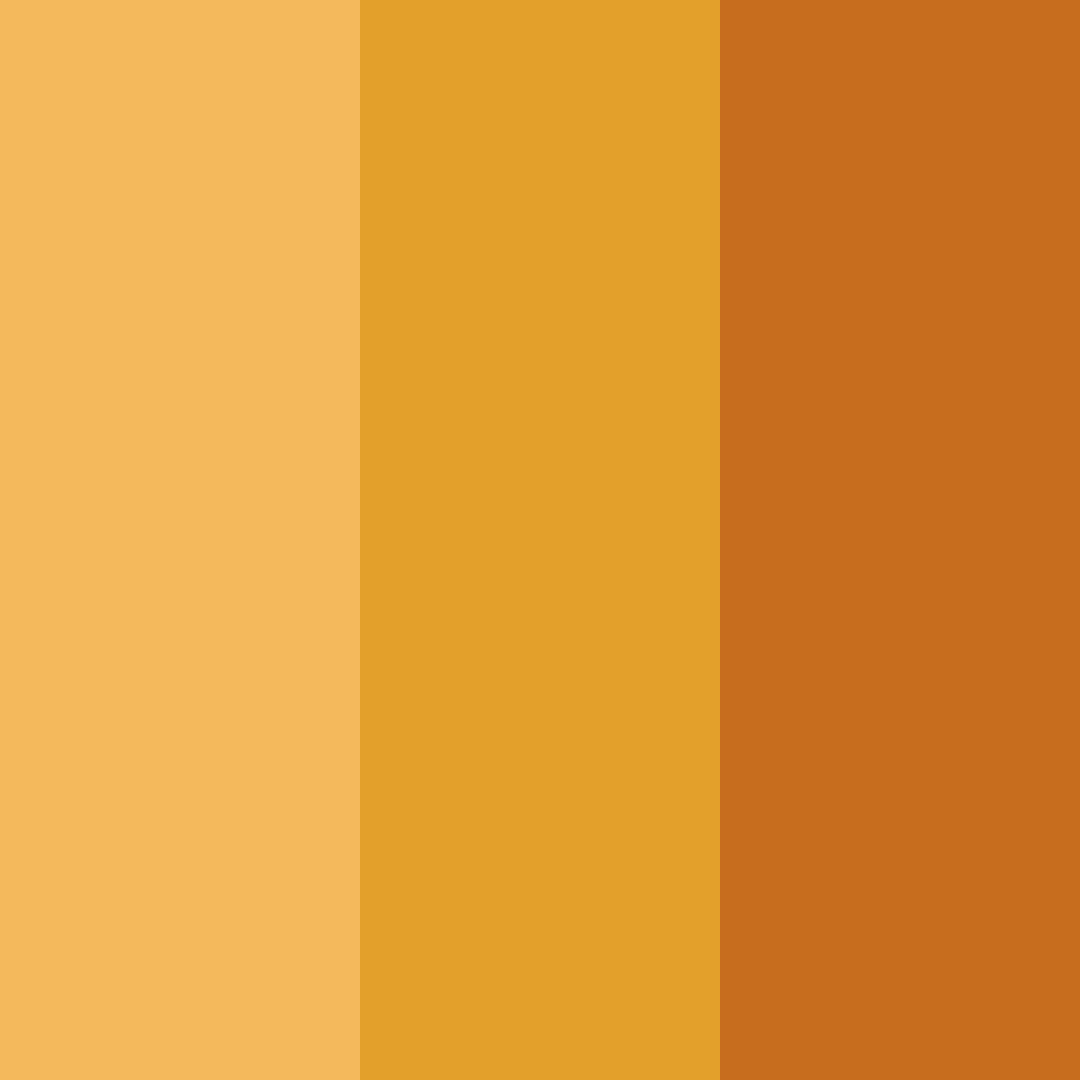 Download sunset harvest color palette PNG image (square)