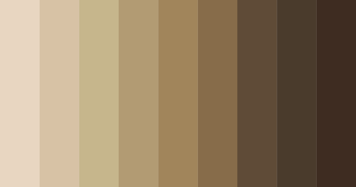 Download brown tones color palette PNG image (landscape)