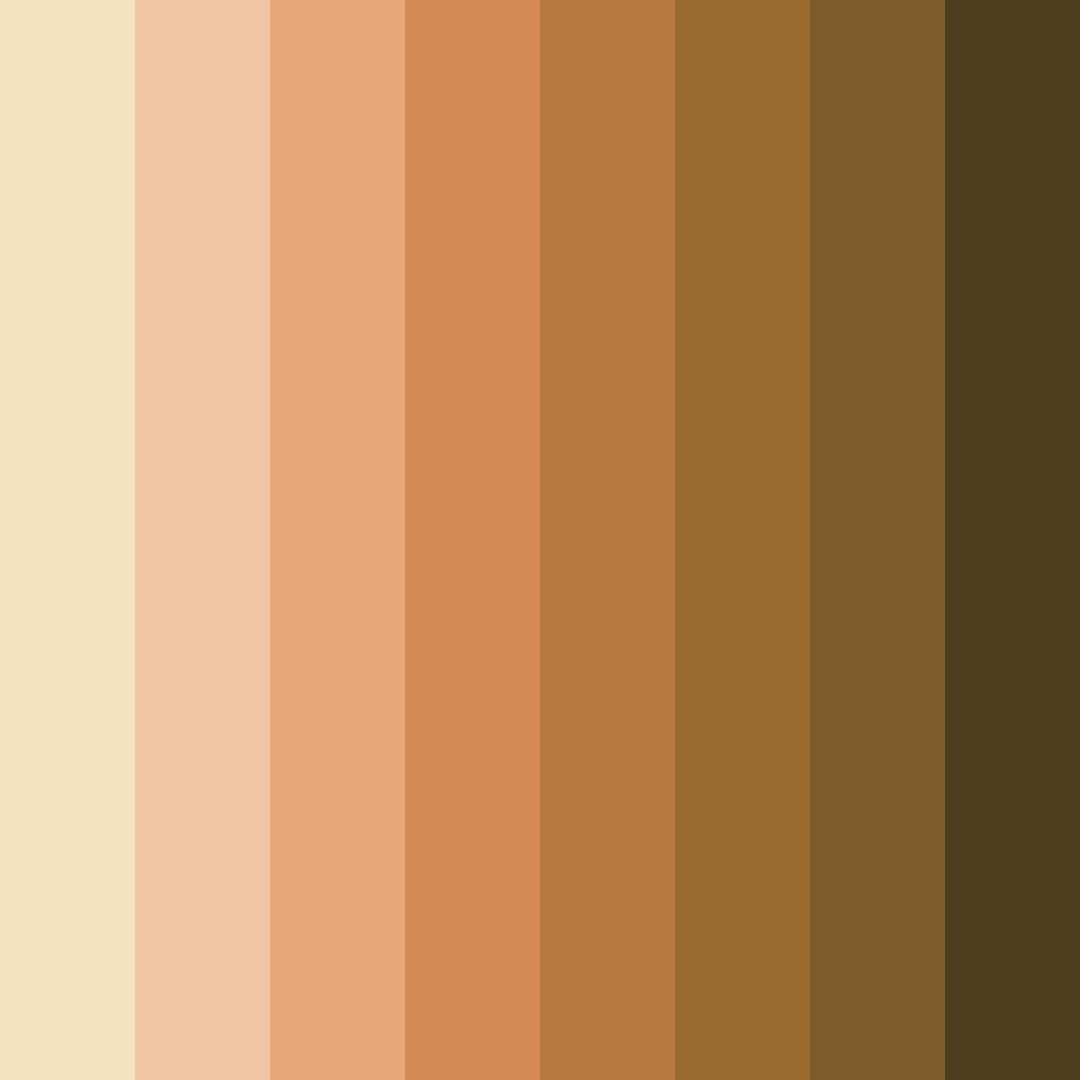 Download warm brown color palette PNG image (square)