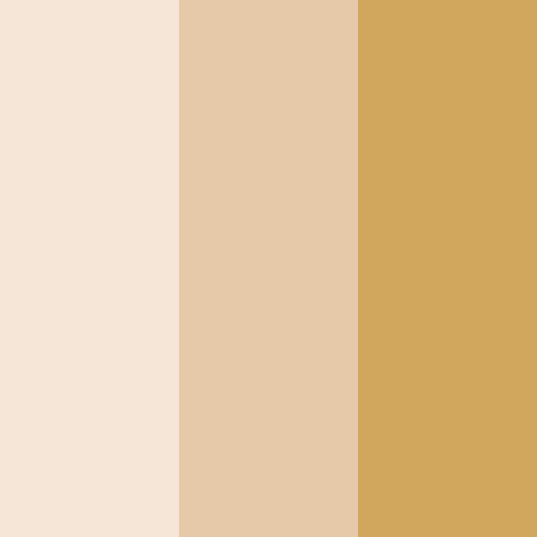 Download creamy beige color palette PNG image (square)