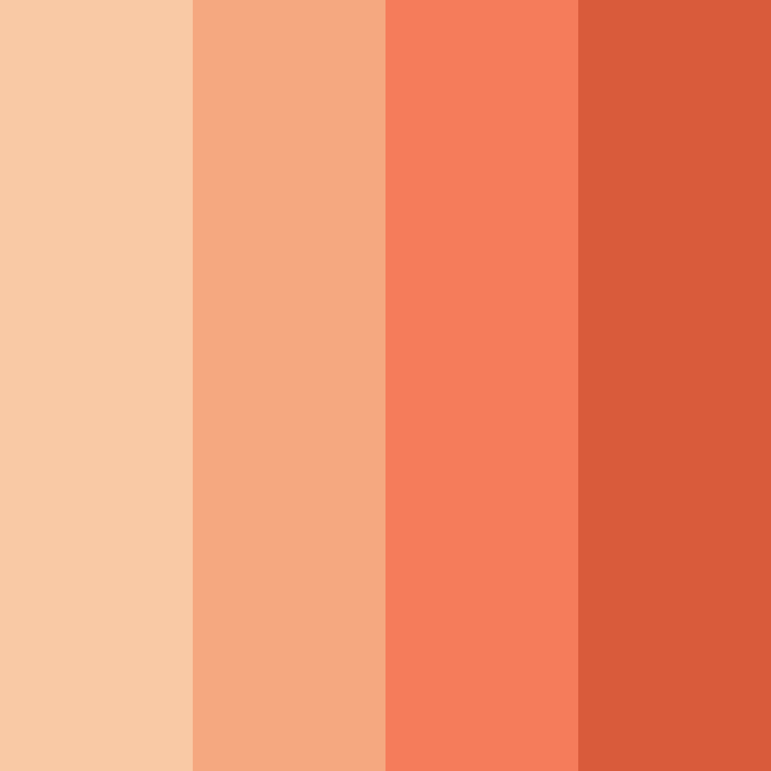 Download sunset embrace color palette PNG image (square)