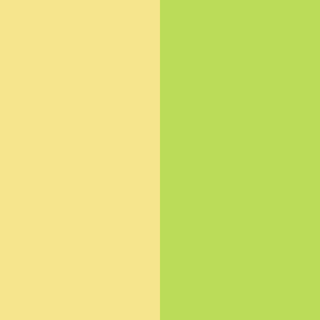 Download yellow shades color palette PNG image (square)