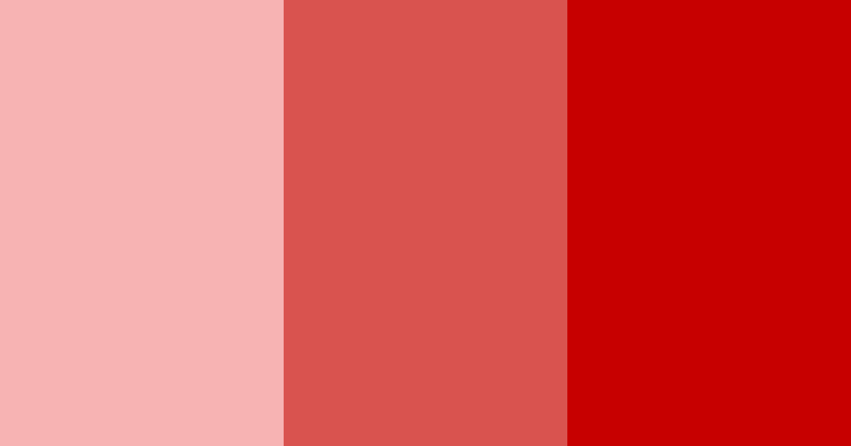 Download responsible red color palette PNG image (landscape)