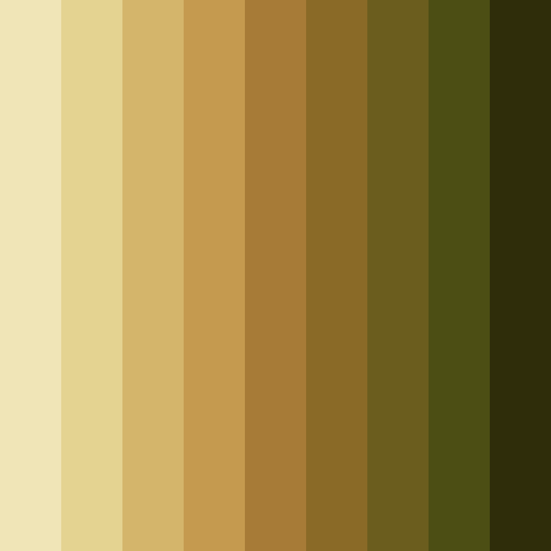 Download sunlit forest floor color palette PNG image (square)