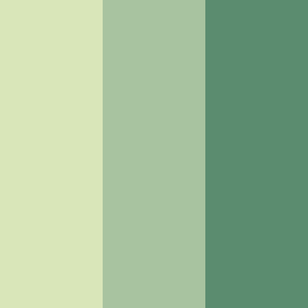 Download light green color palette PNG image (square)