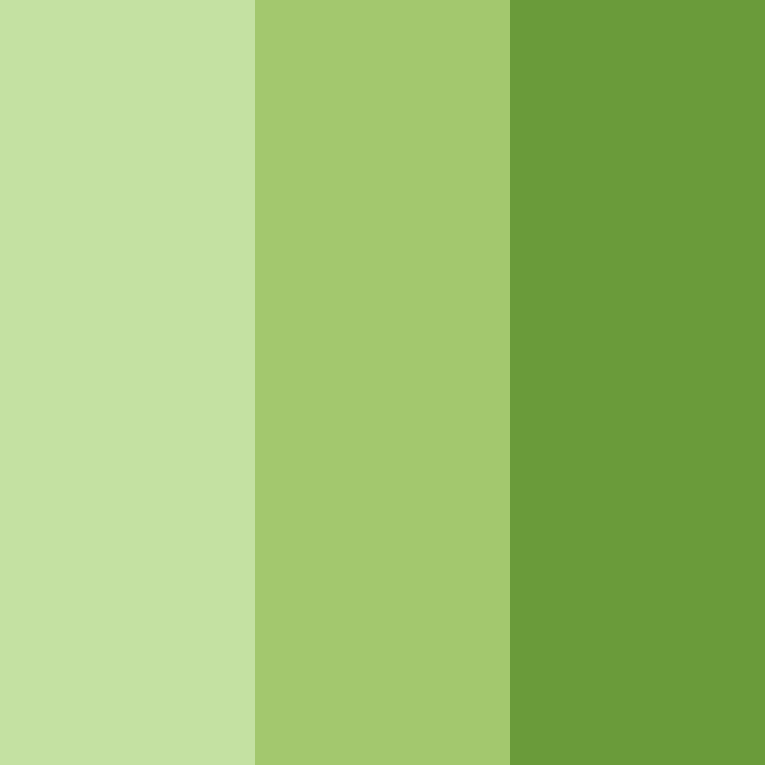 Download green shades color palette PNG image (square)