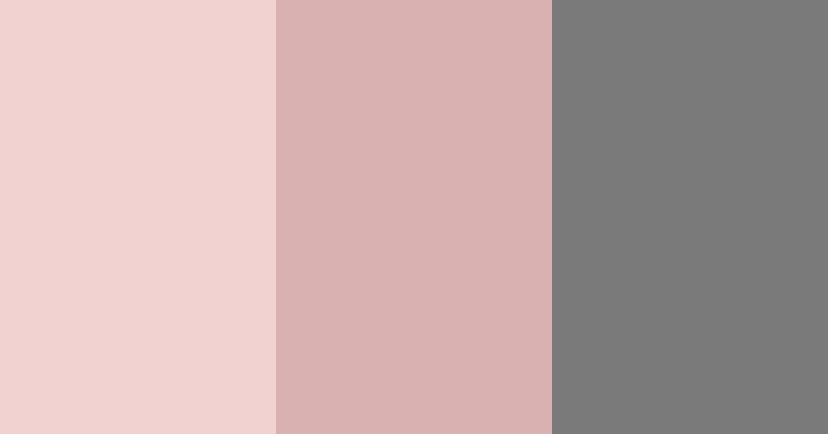 Download gray and light red color palette PNG image (landscape)