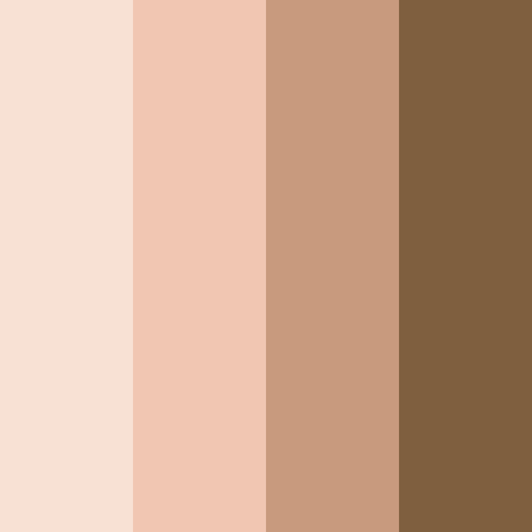 Download café harmony color palette PNG image (square)