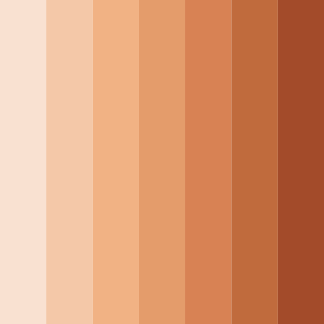 Download sunset blush color palette PNG image (square)