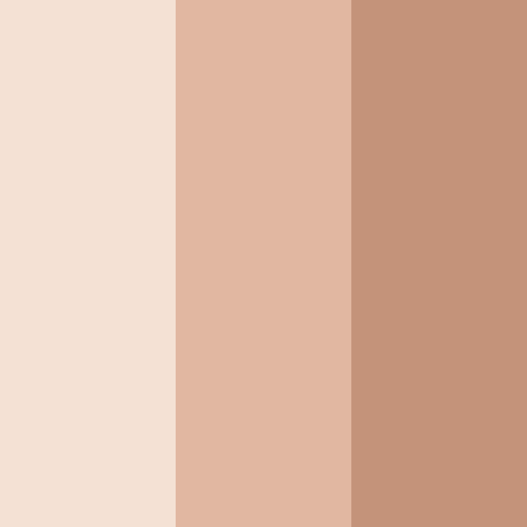 Download light beige color palette PNG image (square)