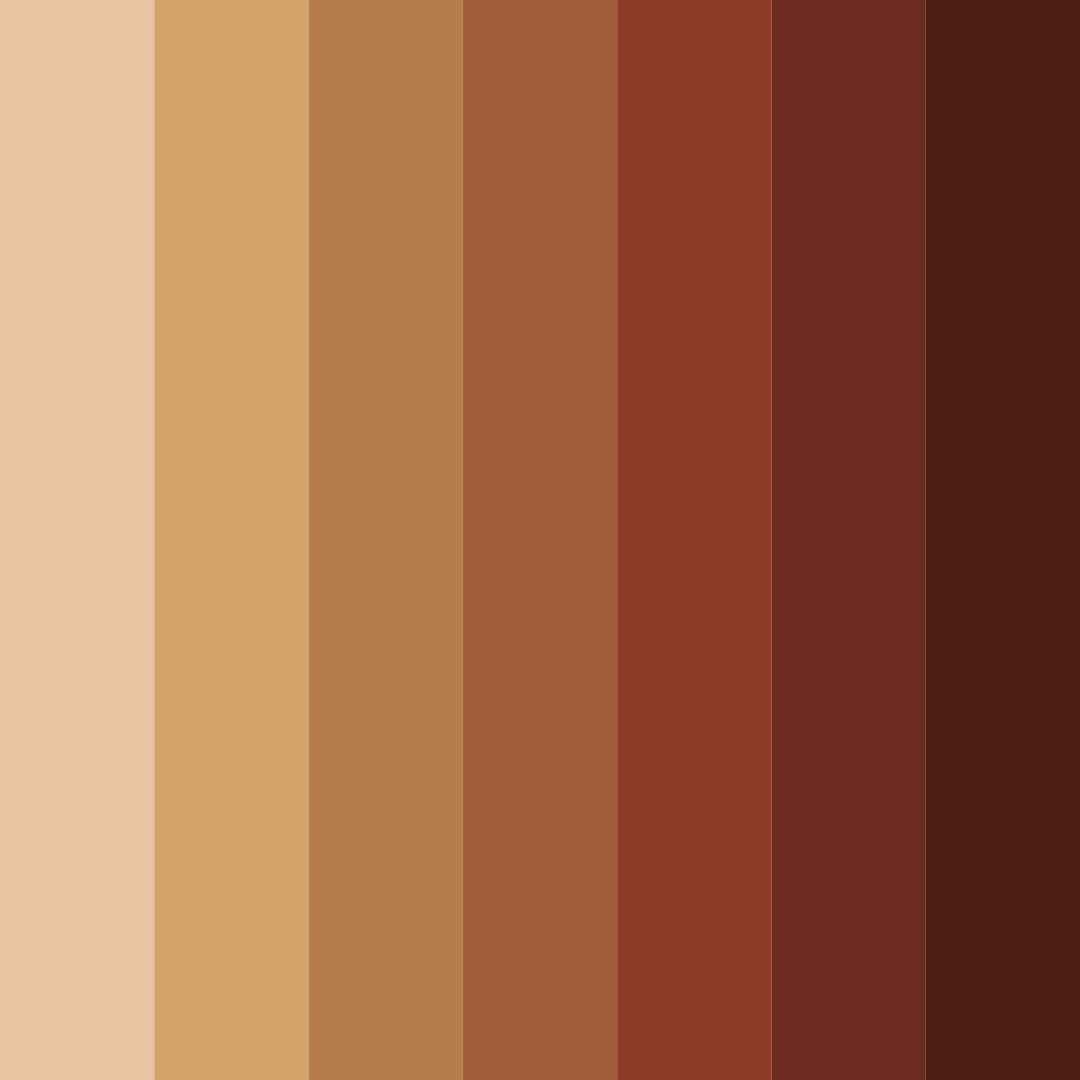 Download brown shades color palette PNG image (square)