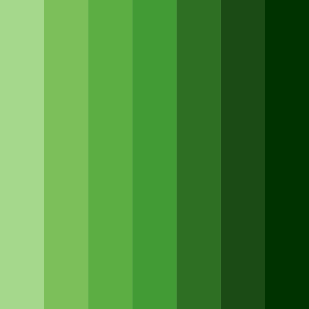 Download emerald forest color palette PNG image (square)