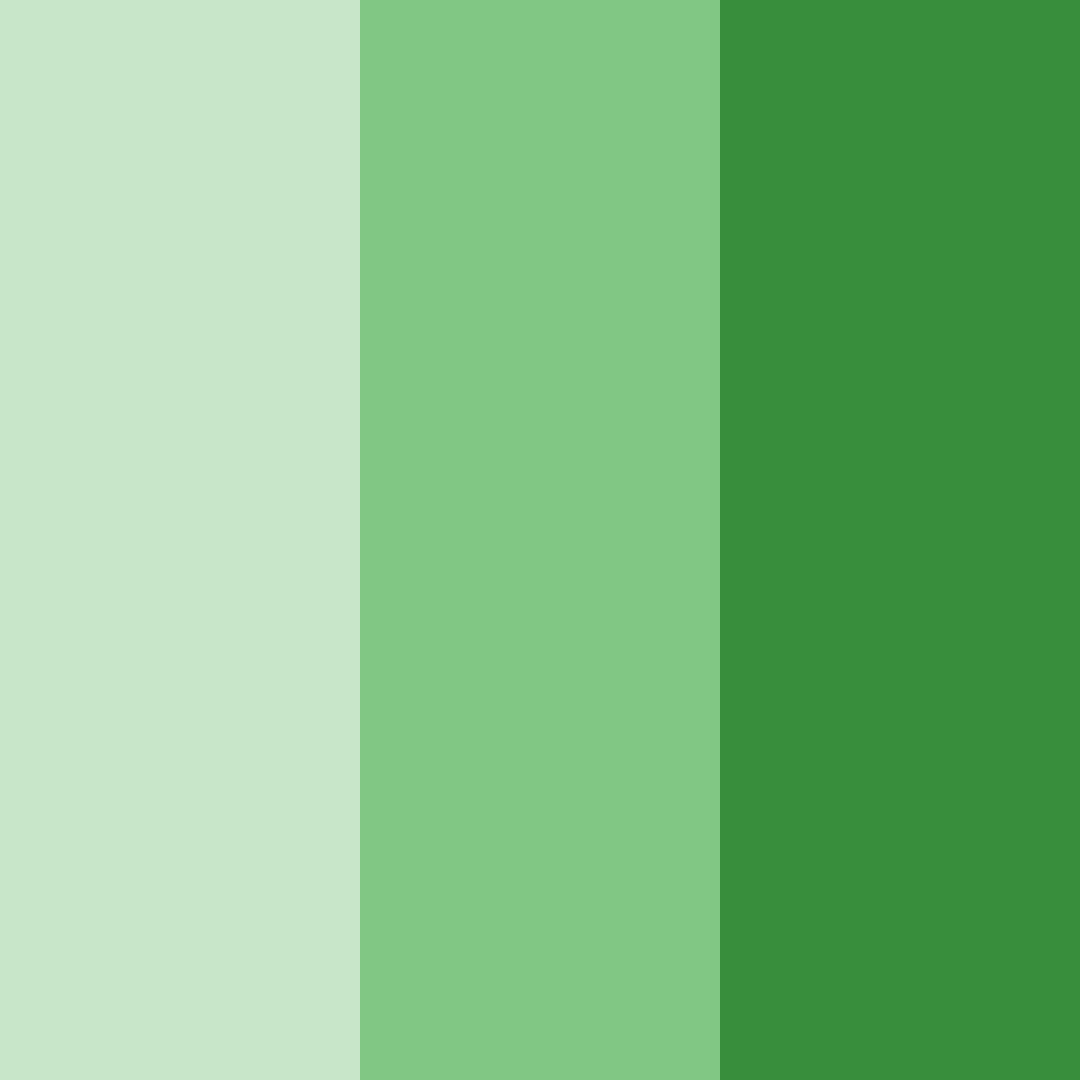 Download emerald serenity color palette PNG image (square)