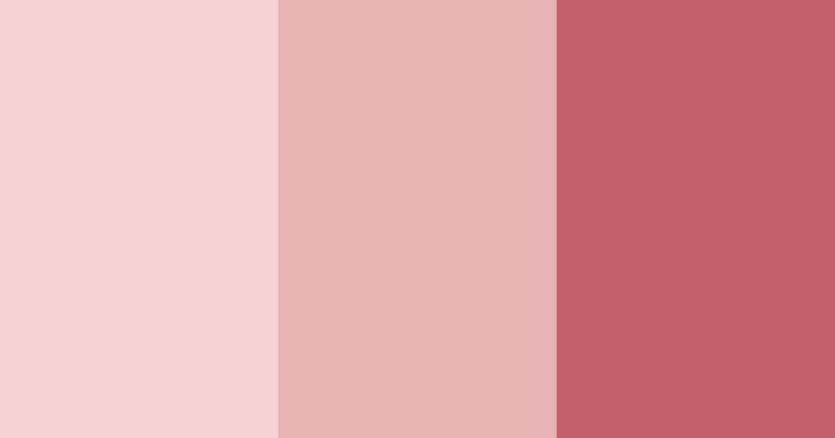 Download pink shades color palette PNG image (landscape)