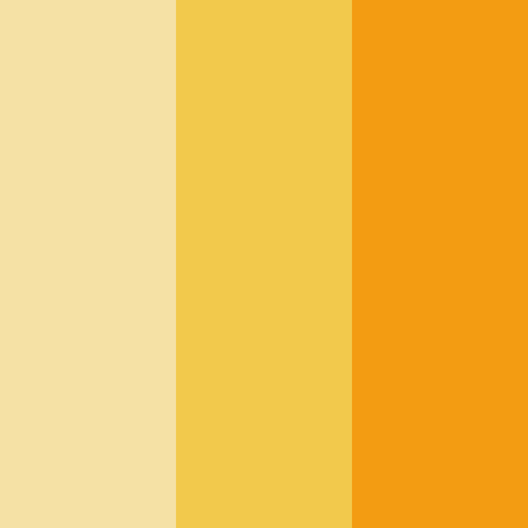 Download sunlit harvest color palette PNG image (square)