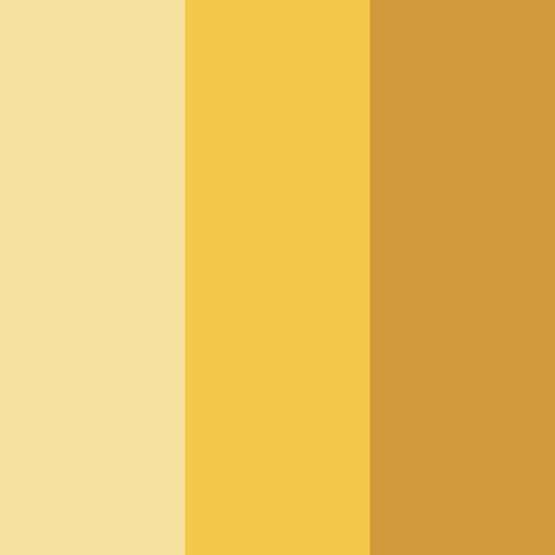 Download golden sunshine color palette PNG image (square)