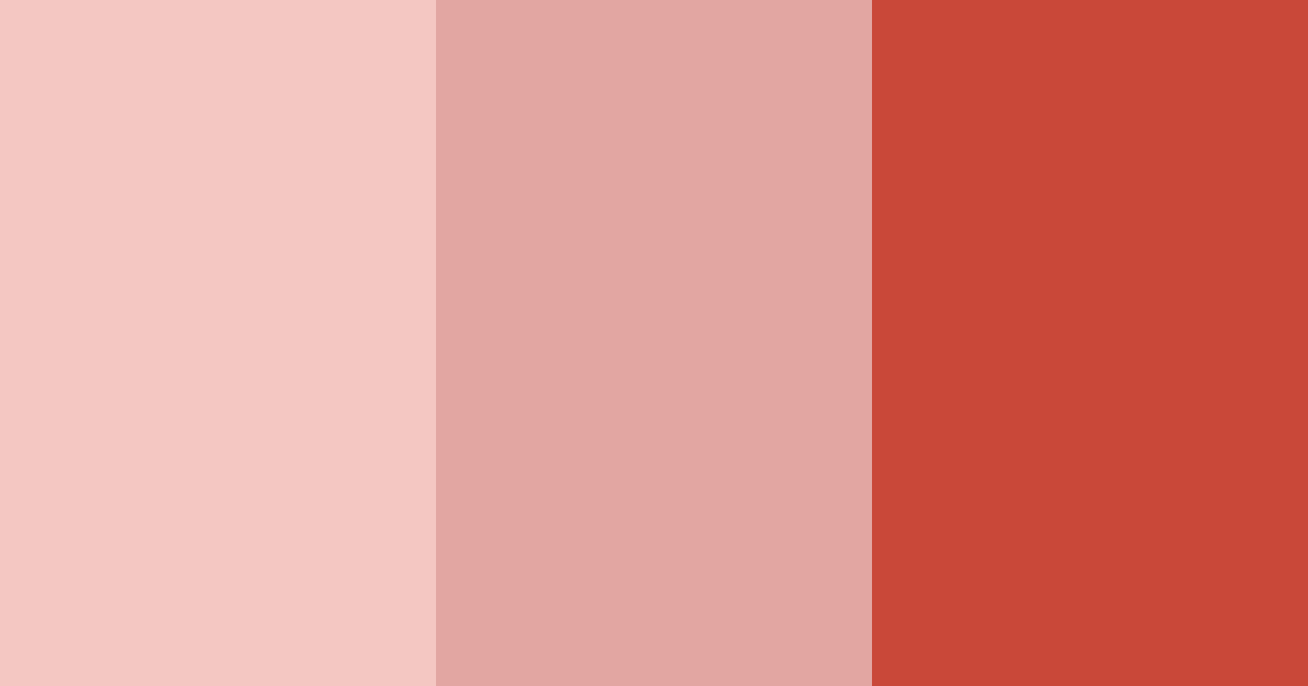 Download blush and ember color palette PNG image (landscape)