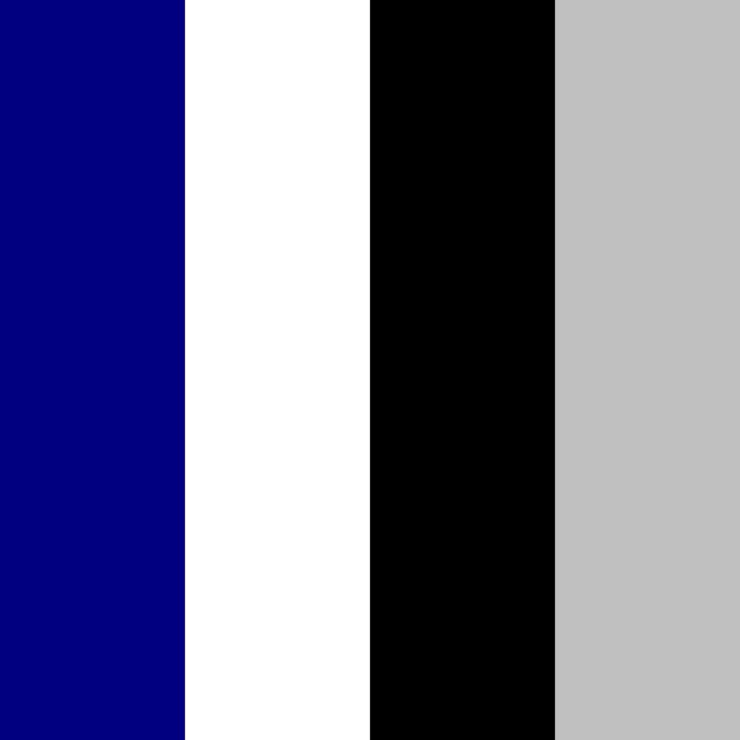 Download navy, white, black, silver color palette PNG image (square)