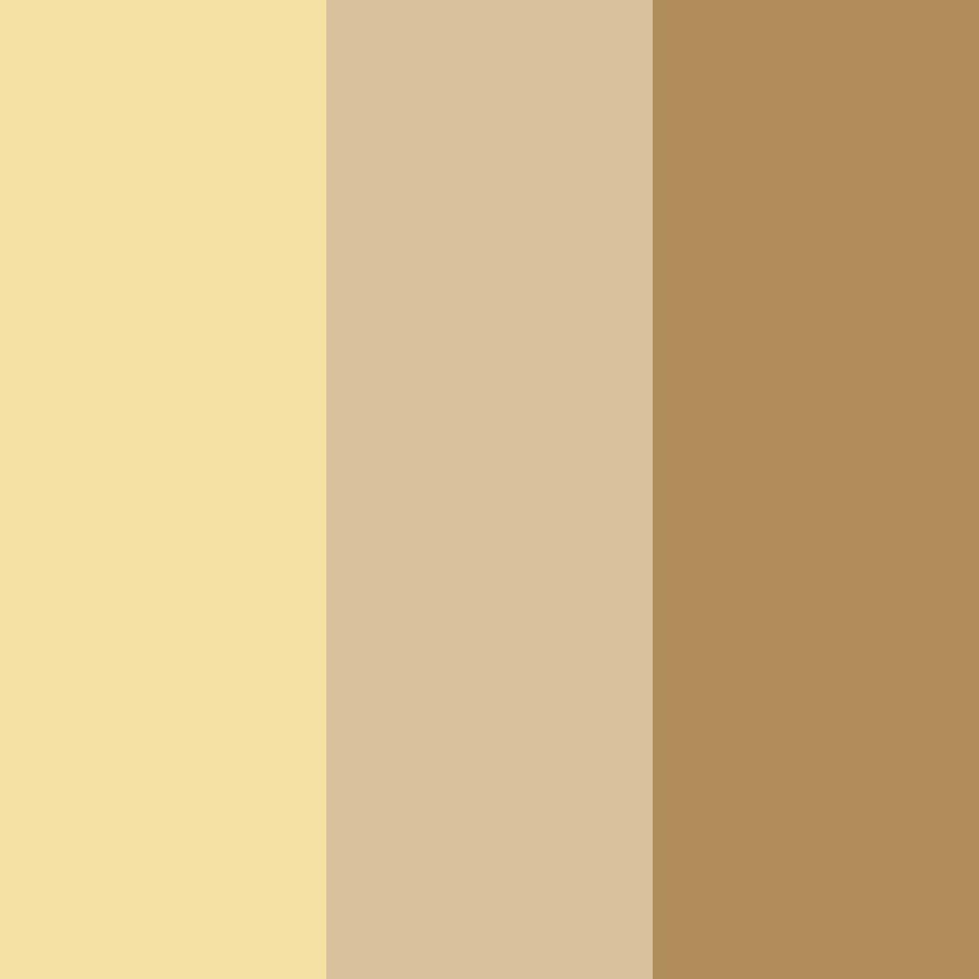 Download warm embrace color palette PNG image (square)