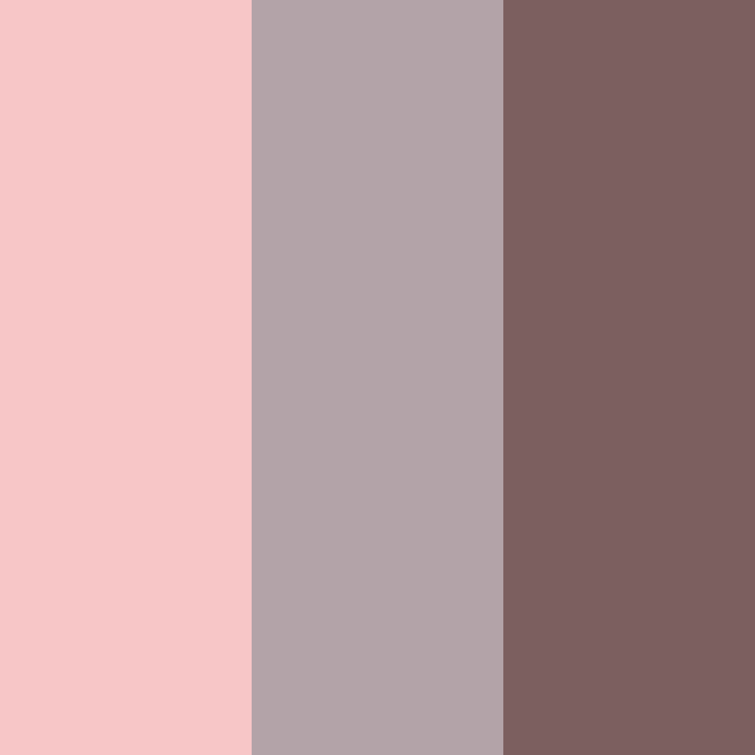 Download soft red silver color palette PNG image (square)