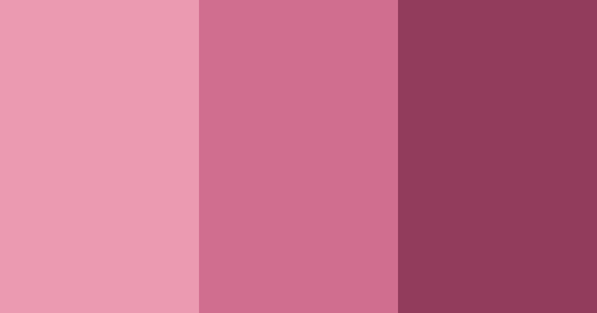 Download blushing rosewood color palette PNG image (landscape)