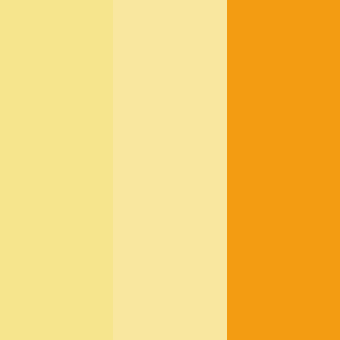 Download sunlit citrus dream color palette PNG image (square)